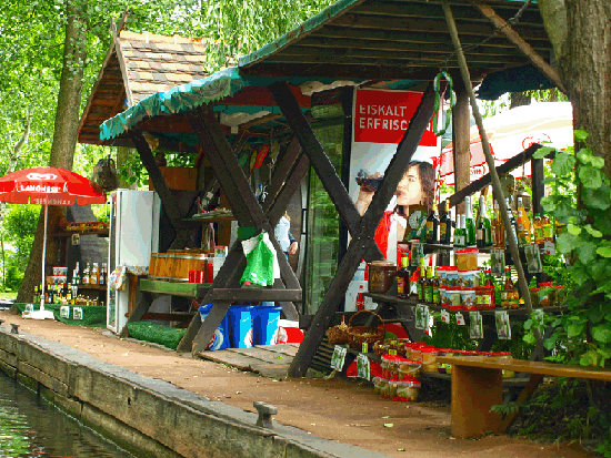 Jahresausflug Cottbus/Spreewald/Berlin 2015